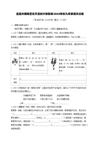 湖北省宜昌市夷陵区乐天溪初中教联体2024-2025学年九年级上学期11月期中语文试题