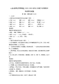 山东省潍坊市潍城区2022-2023学年八年级下学期期中考试语文试卷(解析版)