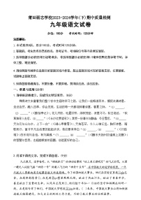 福建省莆田市荔城区莆田砺志学校2024-2025学年九年级上学期期中考语文（试卷）