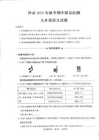 湖北省荆州市沙市区2024～2025学年九年级上学期11月期中语文试题（PDF版，含答案）
