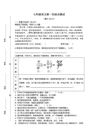 河南省周口市第一初级中学2024～2025学年七年级上学期第一次综合测试月考语文试题（含答案）