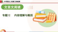 中考语文二轮复习讲练测课件专题12 内容理解与概括（含解析）