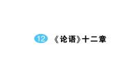 人教部编版（2024）七年级上册（2024）12 《论语》十二章作业ppt课件