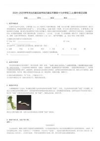 2024～2025学年河北石家庄裕华区石家庄市第四十九中学初二(上)期中语文试卷[原题+解析]