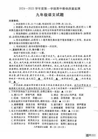 山东省济宁市梁山县2024--2025学年九年级上学期期中教学质量监测语文试题