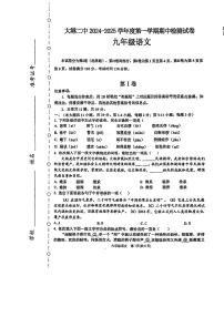 天津市滨海新区大港第二中学2024-2025学年九年级上学期11月期中语文试题