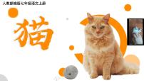 初中语文人教部编版（2024）七年级上册（2024）17 猫/郑振铎课文内容课件ppt