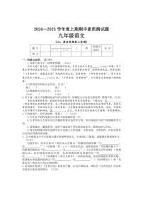 河南省驻马店市汝南县2024～2025学年九年级上学期11月期中语文试题（含答案）