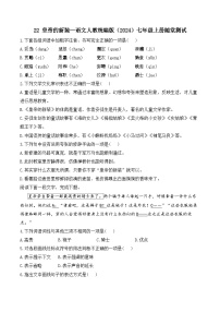 语文七年级上册（2024）22 皇帝的新装/安徒生课后作业题