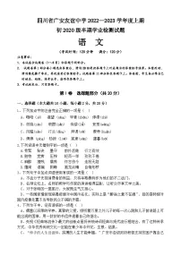 四川省广安友谊中学2022-2023学年九年级上学期期中检测语文试题