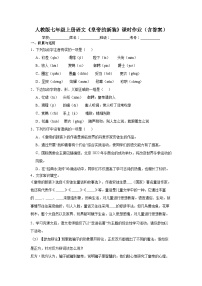 初中语文人教部编版（2024）七年级上册皇帝的新装课时练习