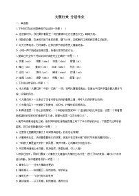 初中语文人教部编版（2024）七年级上册（2024）19 大雁归来/利奥波德当堂检测题