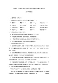 四川省绵阳市涪城区2024-2025学年九年级上学期11月期中考试语文试题