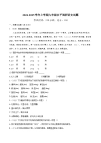 山东省聊城市莘县四校联考2024-2025学年九年级上学期11月期中语文试题