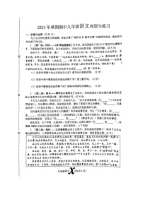 河南省南阳市内乡县2024-2025学年九年级上学期11月期中语文试题