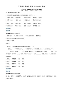 辽宁省沈阳市沈河区2023-2024学年九年级上学期期末语文试题（解析版）