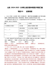 山东 2024-2025 七年级上语文期中真题分专题汇编  专题03    名著阅读（含答案解析版）