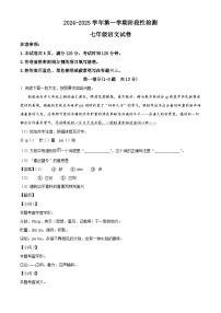 河北省保定市竞秀区2024-2025学年七年级上学期期中语文试题（解析版）