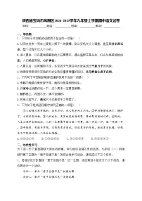 陕西省宝鸡市凤翔区2024-2025学年九年级上学期期中语文试卷(含答案)