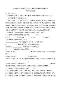 贵州省贵阳市花溪区燕楼中学2024-2025学年九年级上学期11月期中语文试题