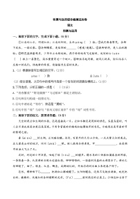 中考语文一轮复习考点讲与练积累与运用综合检测过关卷（2份，原卷版+解析版）