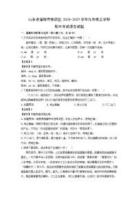 2024~2025学年山东省淄博市张店区九年级(上)期中考试语文试卷(解析版)