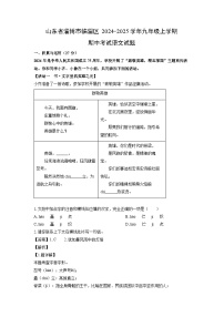 2024~2025学年山东省淄博市临淄区九年级(上)期中考试语文试卷(解析版)