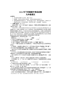 湖南省邵阳市武冈市2024-2025学年九年级上学期期中考试语文试题