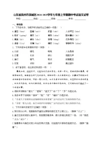 山东省滨州市滨城区2024-2025学年七年级上学期期中考试语文试卷(含答案)