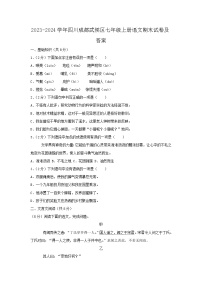 2023-2024学年四川成都武侯区七年级上册语文期末试卷及答案