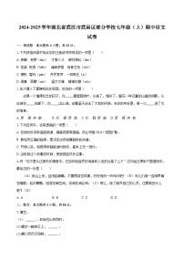2024-2025学年湖北省武汉市武昌区部分学校七年级（上）期中语文试卷（含详细答案解析）