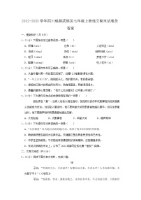 2022-2023学年四川成都武侯区七年级上册语文期末试卷及答案