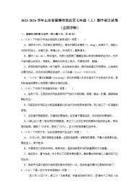 2023-2024学年山东省淄博市张店区七年级（上）期中语文试卷（五四学制）