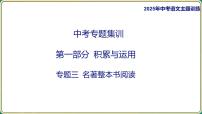 2025年中考语文专项复习：《名著整本书阅读》课件