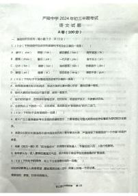 四川省内江市威远县严陵中学2024—2025学年九年级上学期期中考试语文试题