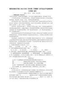 湖南省岳阳市湘阴县文星街道城东学校2024-2025学年九年级上学期12月月考语文试题