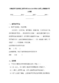 河南省驻马店市第二初级中学2024-2025学年七年级上学期期中 语文试题（含解析）