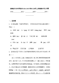 湖南省长沙市浏阳市2024-2025学年七年级上学期期中 语文试题（含解析）