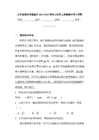 山东省德州市德城区2024-2025学年七年级上学期期中 语文试题（含解析）