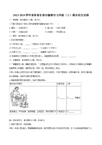 2023-2024学年吉林省长春市榆树市七年级（上）期末语文试卷（含详细答案解析）