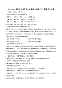 2023-2024学年辽宁省抚顺市清原县七年级（上）期末语文试卷（含详细答案解析）