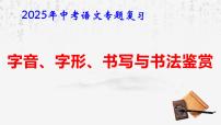 2025年中考语文专题复习：字音、字形、书写与书法鉴赏 课件
