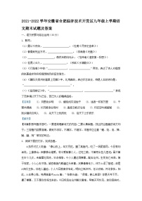 2021-2022学年安徽省合肥经济技术开发区九年级上学期语文期末试题及答案