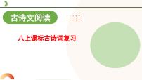 2025中考语文复习：部编版八年级上册古诗词复习（课件）