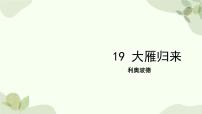 人教部编版（2024）七年级上册（2024）19 大雁归来/利奥波德课文内容课件ppt