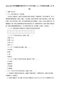 新疆乌鲁木齐市第六十八中学2024-2025学年九年级上学期11月月考语文试题-A4