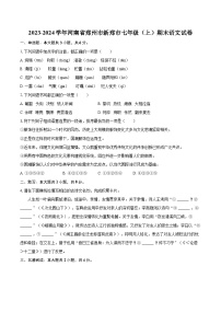 2023-2024学年河南省郑州市新郑市七年级（上）期末语文试卷(含详细答案解析)