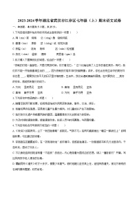 2023-2024学年湖北省武汉市江岸区七年级（上）期末语文试卷(含详细答案解析)