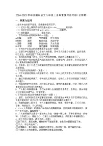 2024-2025学年统编版语文八年级上册期末复习练习题（含答案）