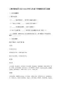 上海市嘉定区2023-2024学年七年级下学期期末语文试题及答案